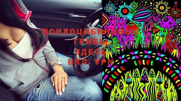 гашик Ладушкин