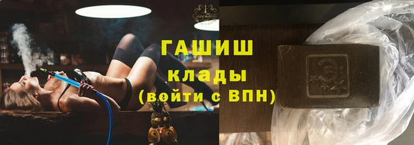гашик Ладушкин