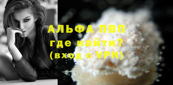 гашик Ладушкин