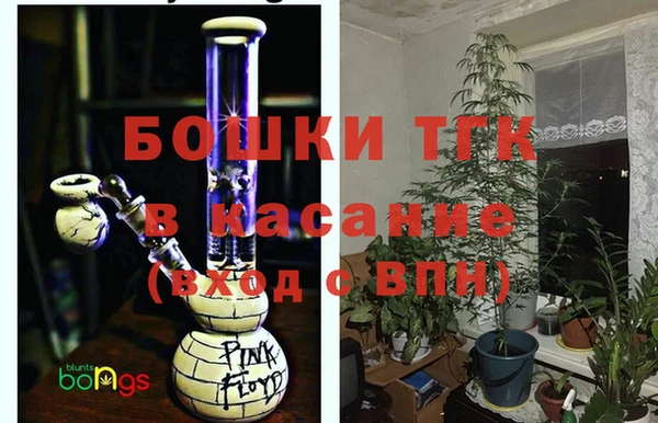 гашик Ладушкин