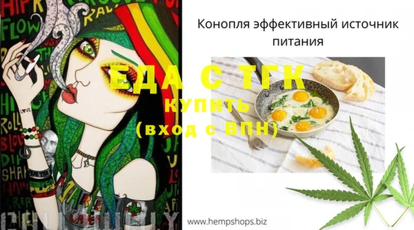 гашик Ладушкин