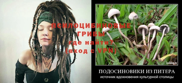 гашик Лагань