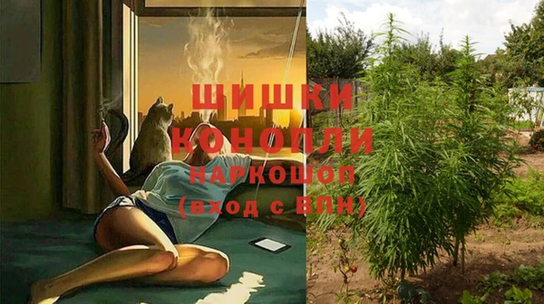 mdpv Лабытнанги